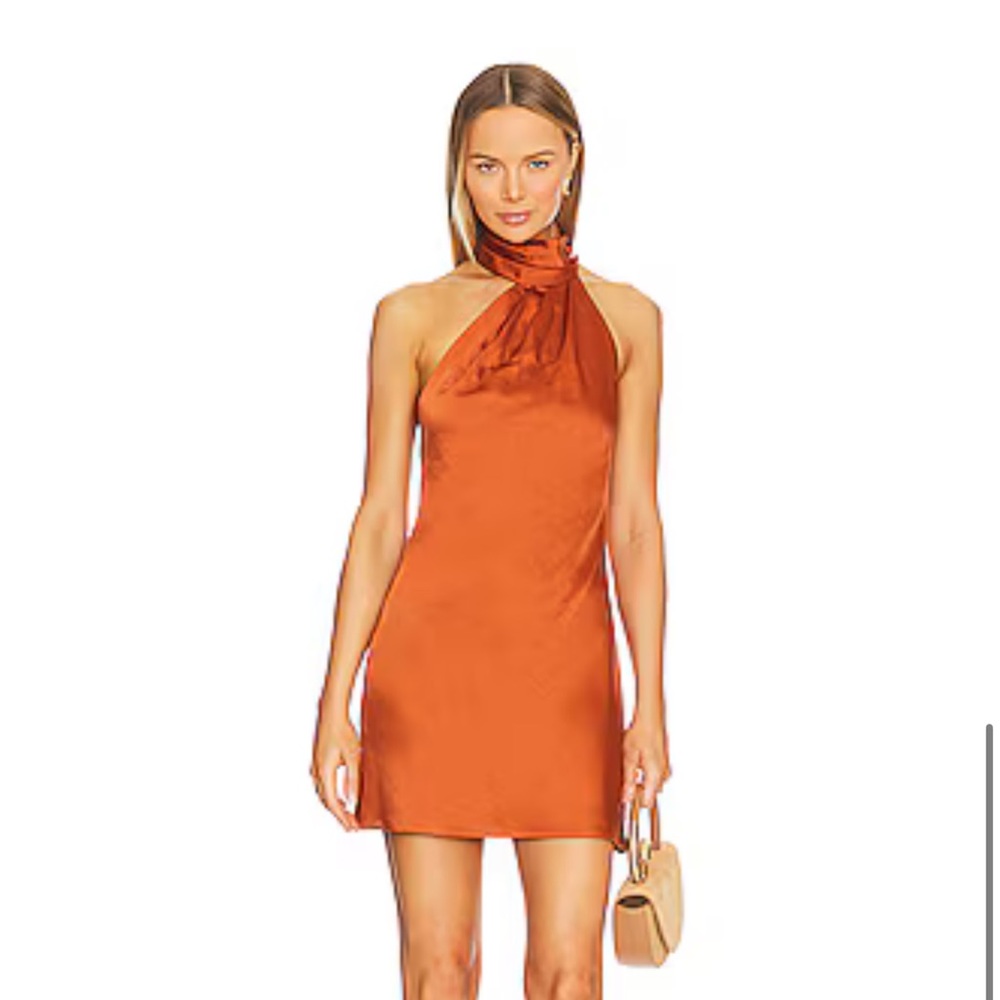 Significant Other Darcy Mini Dress / Size 4 / Color: Clay